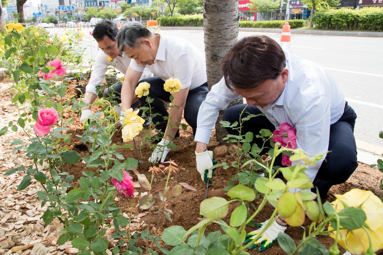 시민헌수 장미 식수행사