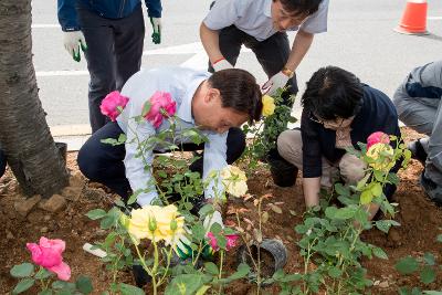 시민헌수 장미 식수행사