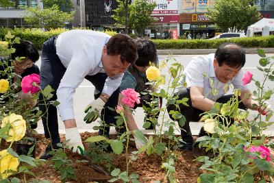 시민헌수 장미 식수행사