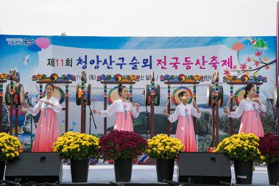 제11회 청암산 구슬뫼 전국등산축제