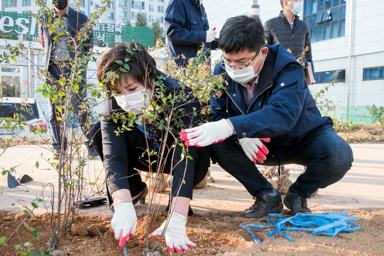 시민과 함께하는 식수행사