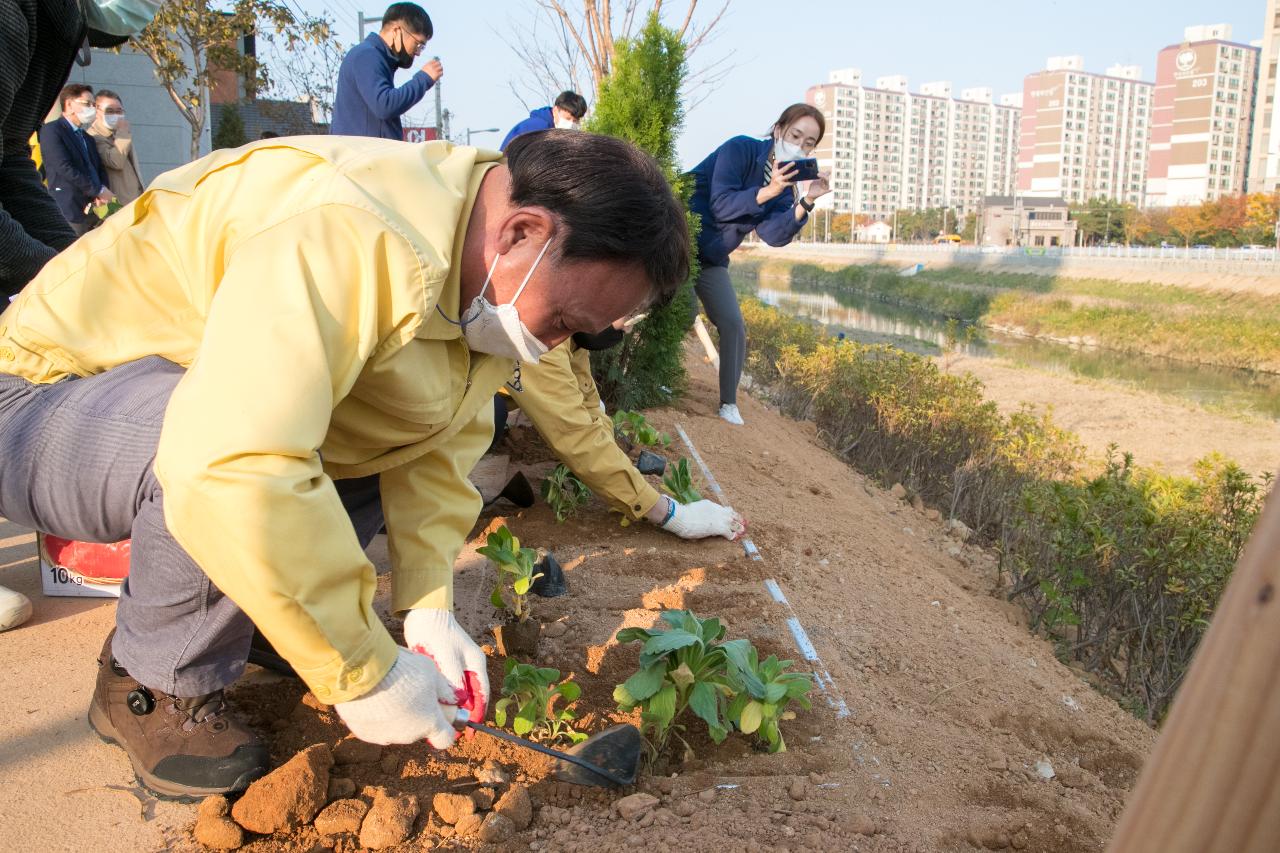 시민과 함께하는 식수행사