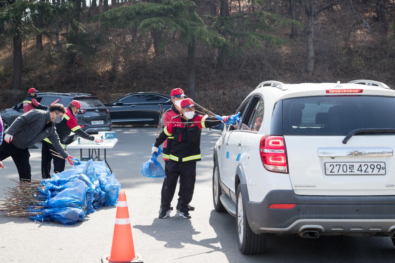 드라이브스루 반려나무 나누어주기 행사