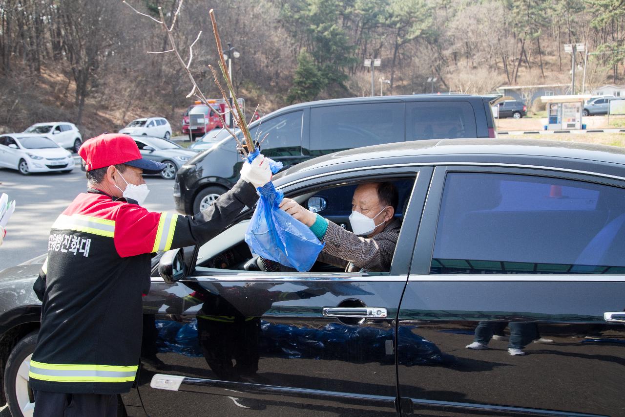 드라이브스루 반려나무 나누어주기 행사