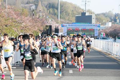 2023년 군산새만금국제 마라톤대회