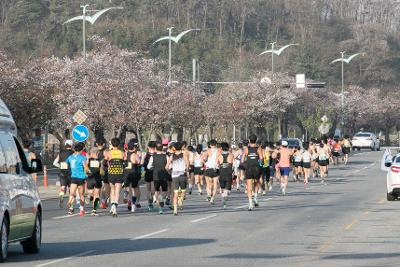 2023년 군산새만금국제 마라톤대회