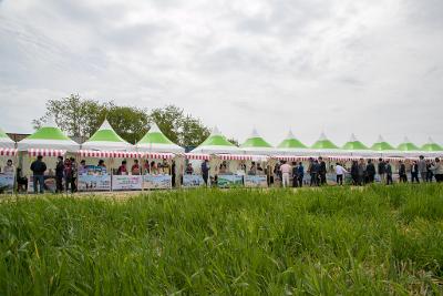 제18회 군산꽁당보리축제 개막식