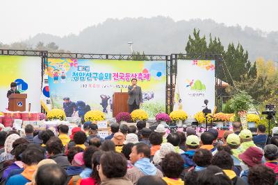 제12회 청암산구슬뫼 전국등산축제