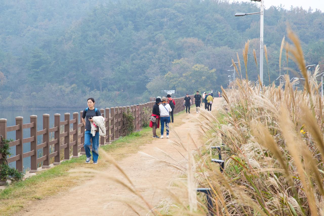 제12회 청암산구슬뫼 전국등산축제