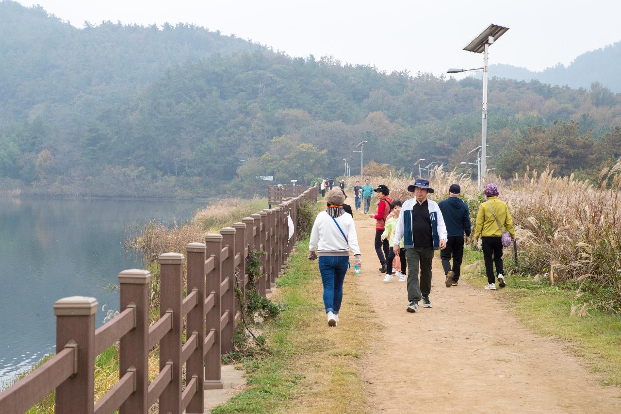 제12회 청암산구슬뫼 전국등산축제