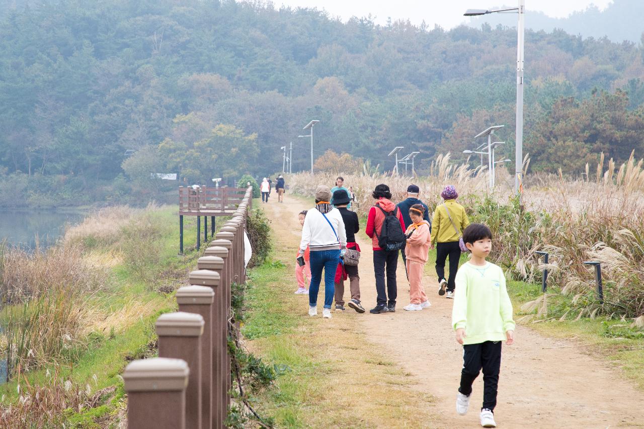 제12회 청암산구슬뫼 전국등산축제