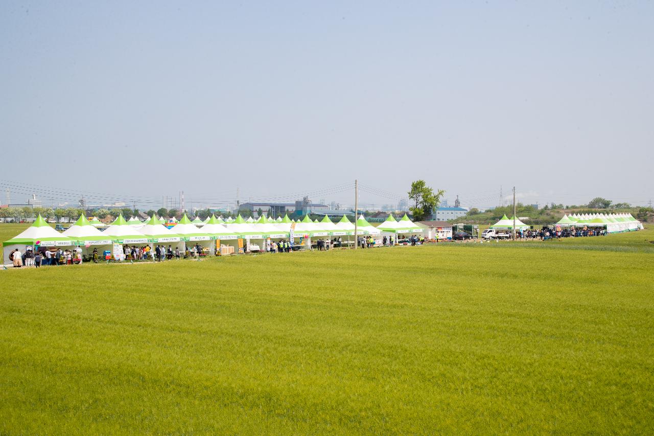 제19회 군산꽁당보리축제 개막식