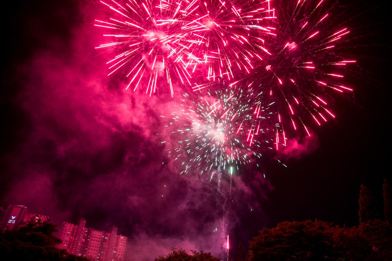 2024 시민과 함께하는 연등 문화축제