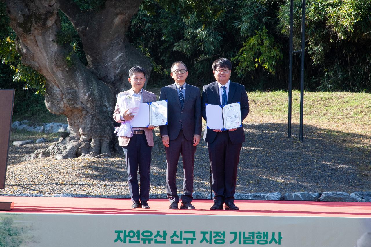 하제마을 팽나무 자연유산 신규 지정 기념식