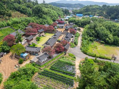 옥구향교(배롱) 드론사진