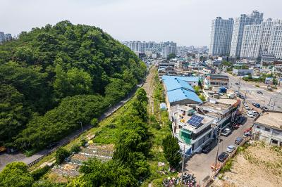 바람길숲 드론사진