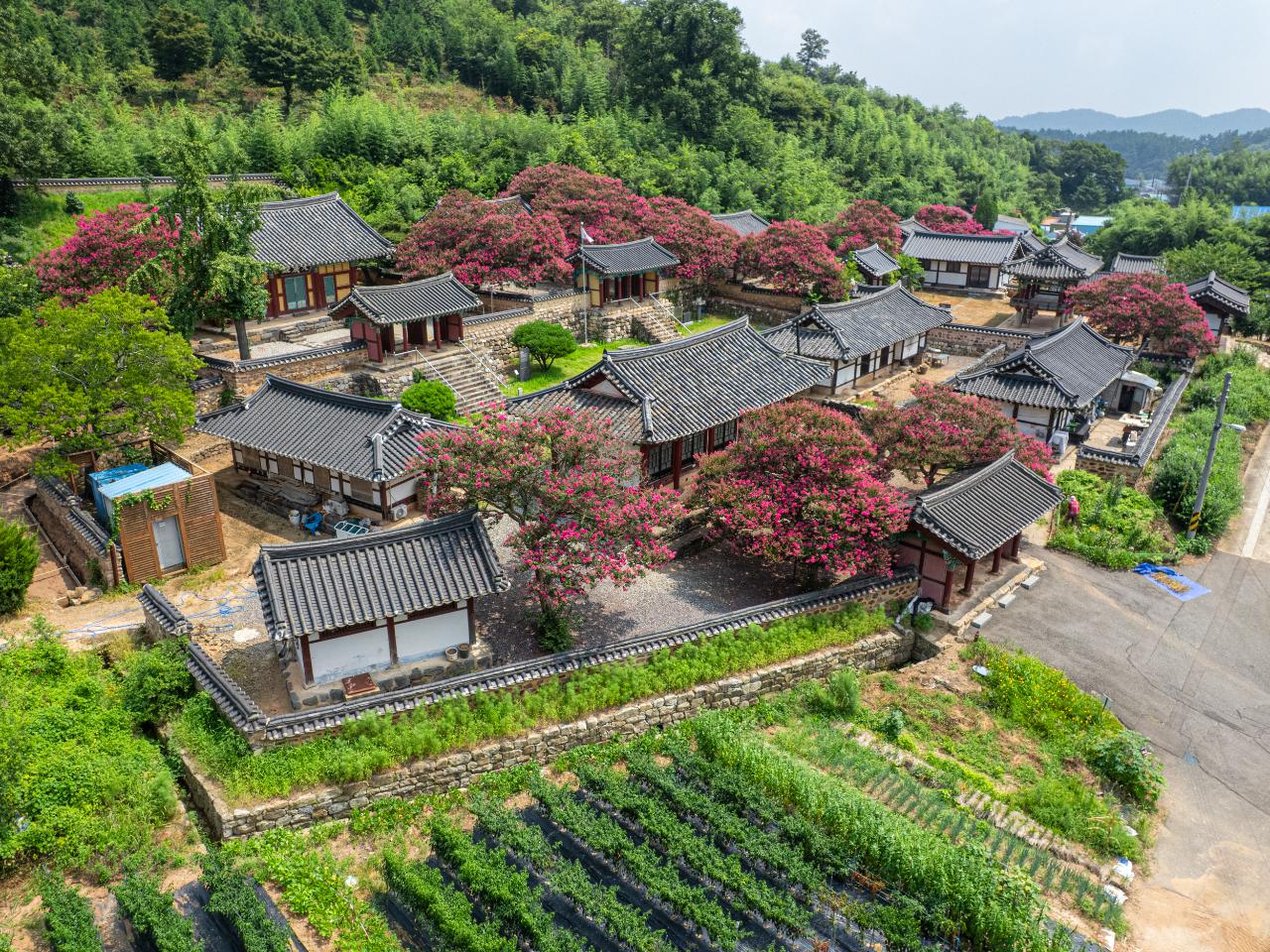옥구향교(배롱) 드론사진