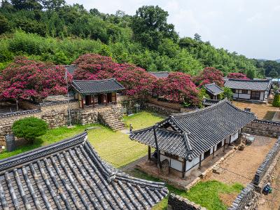 옥구향교(배롱) 드론사진