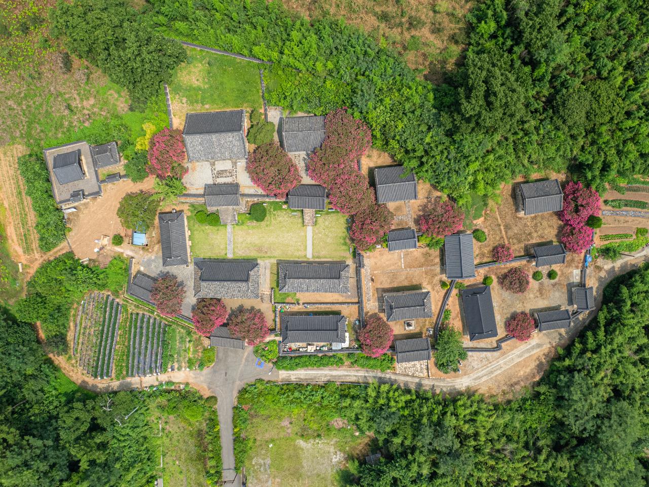 옥구향교(배롱) 드론사진