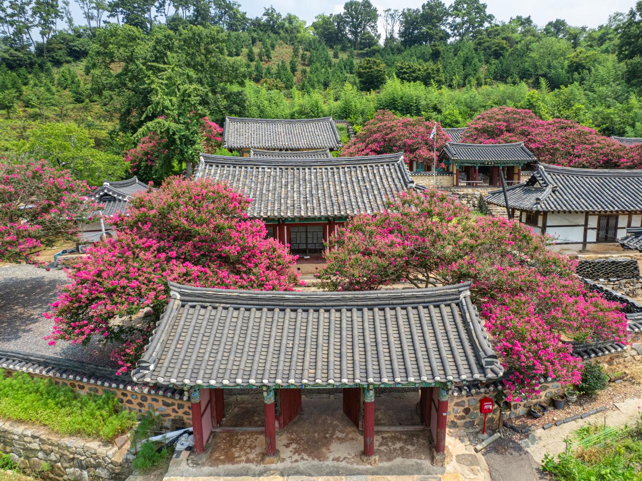 옥구향교(배롱) 드론사진