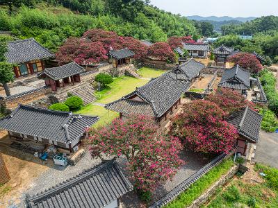 옥구향교(배롱) 드론사진