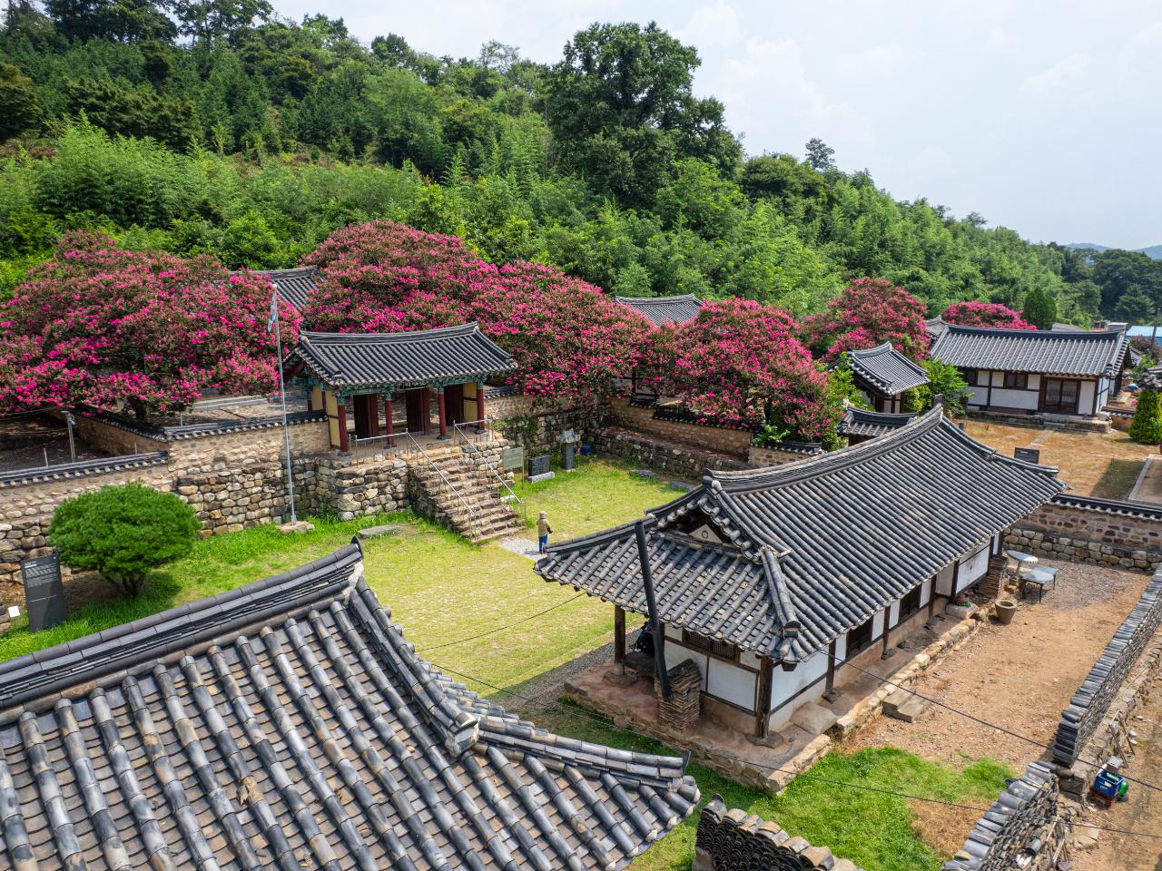 옥구향교(배롱) 드론사진