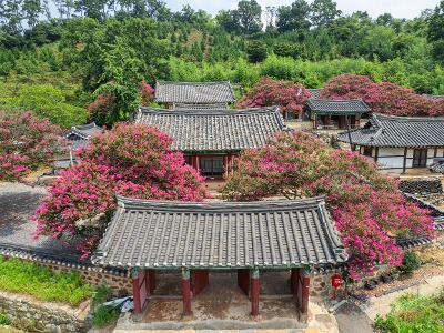 옥구향교(배롱) 드론사진