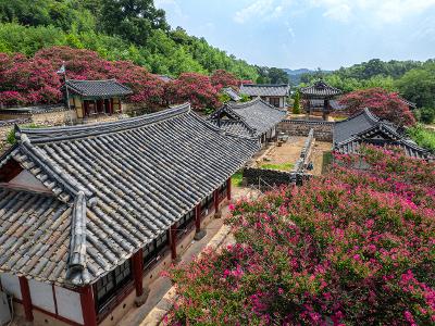 옥구향교(배롱) 드론사진