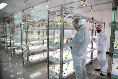 군산지역자활센터 스마트팜 개소식