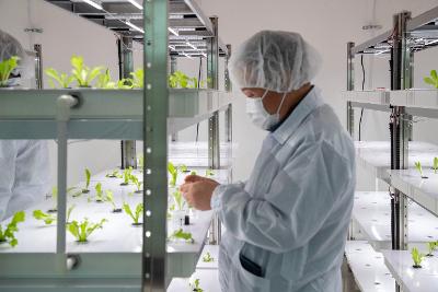 군산지역자활센터 스마트팜 개소식