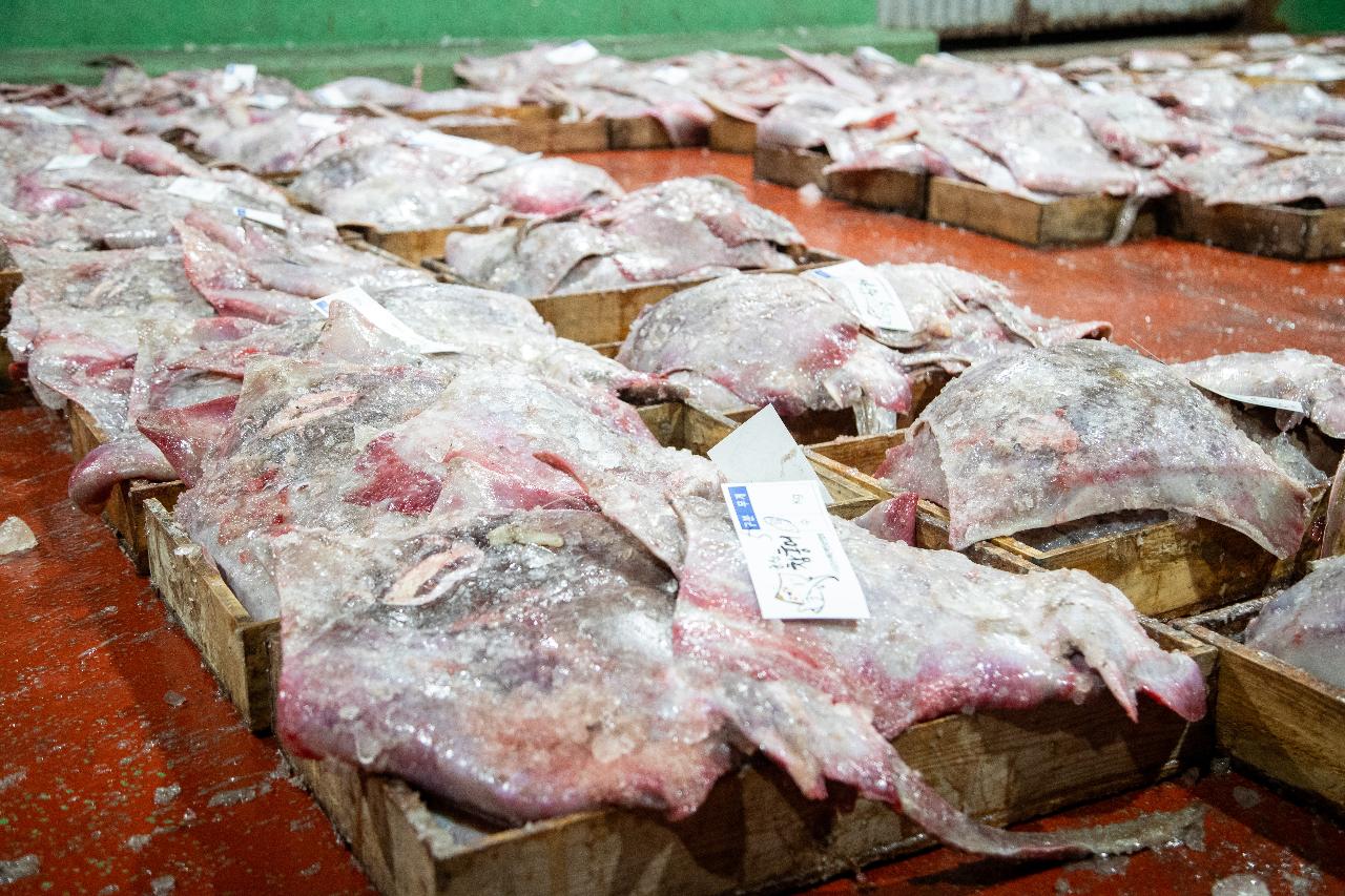 2026년 군산시수산업협동조합 초매식