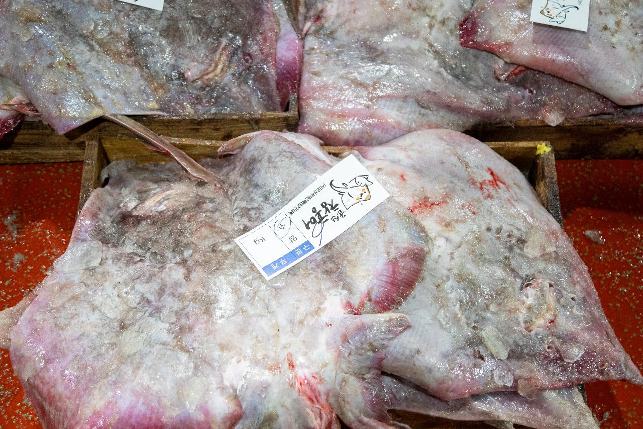 2026년 군산시수산업협동조합 초매식