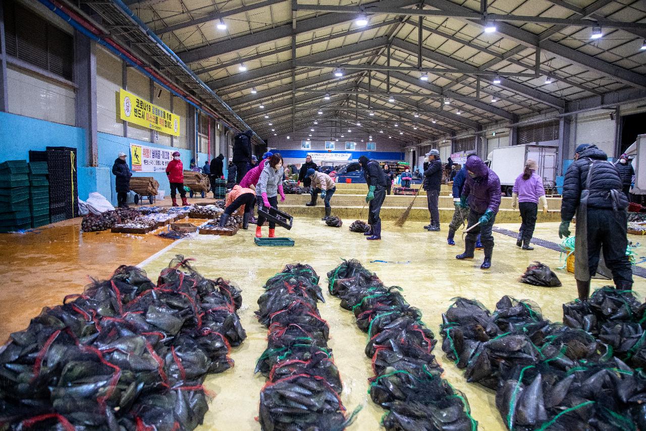 2026년 군산시수산업협동조합 초매식