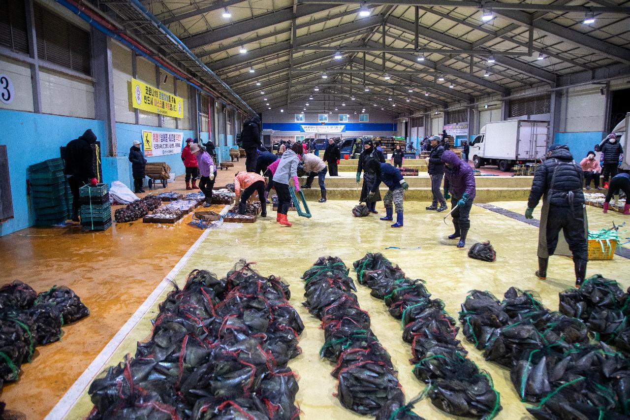 2026년 군산시수산업협동조합 초매식