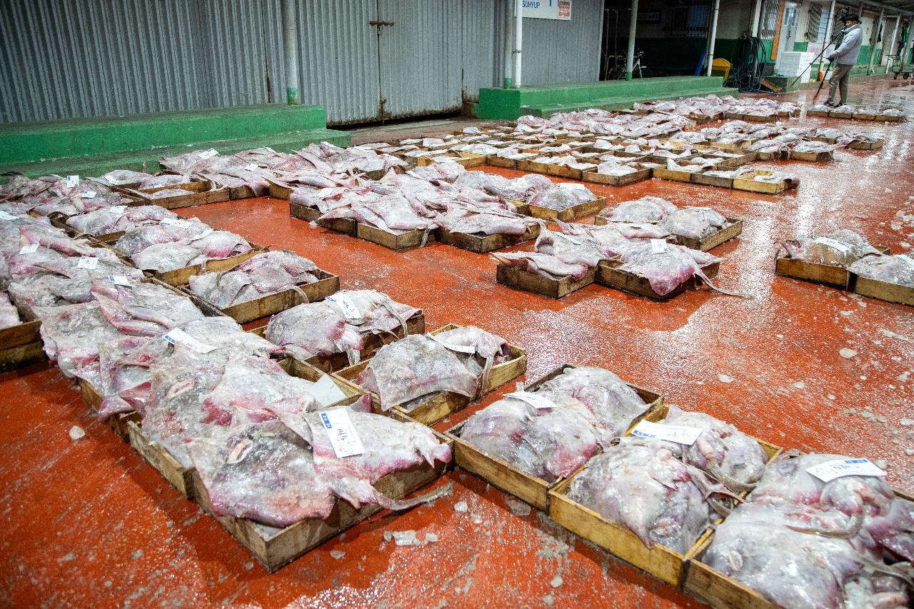 2026년 군산시수산업협동조합 초매식