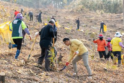 제81회 식목일 기념 나무심기 행사