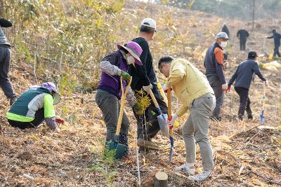 제81회 식목일 기념 나무심기 행사