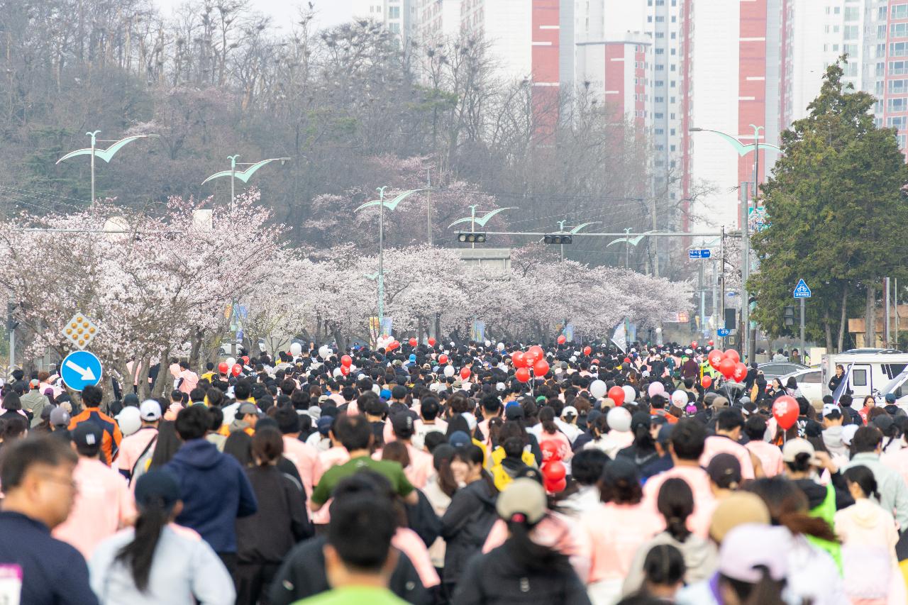 2026년 군산새만금마라톤대회